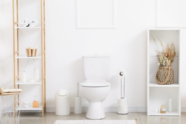 Interior,Of,Light,Restroom,With,Toilet,Bowl,,Paper,Holder,And